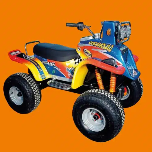 Manège automatique : Quad bike