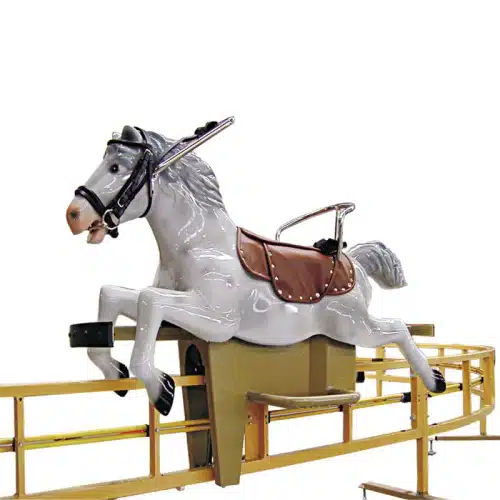 Chevaux galopant manège familiale